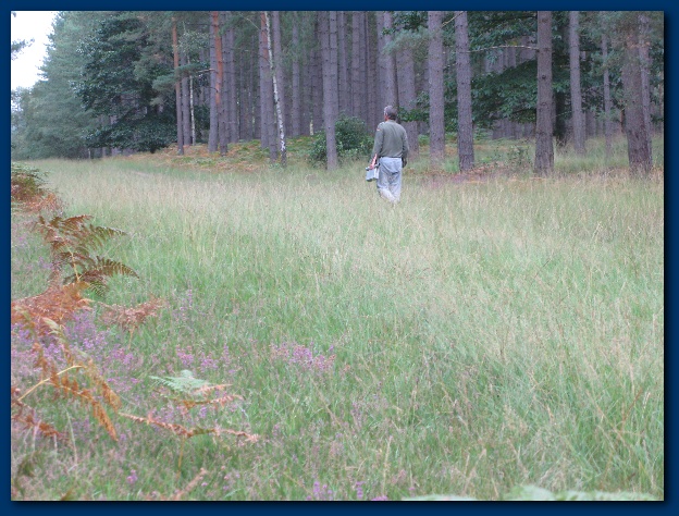 600x449 pixels (161K)